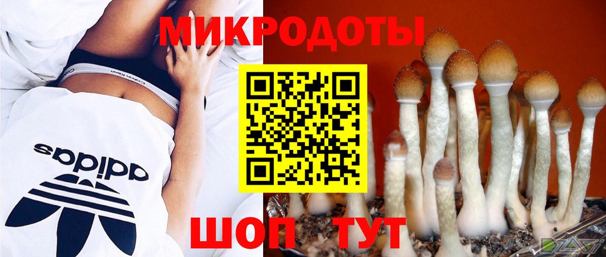 Псилоцибиновые грибы прущие грибы Ханты-Мансийск
